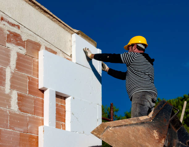 Best Local Insulation Services  in University, MS