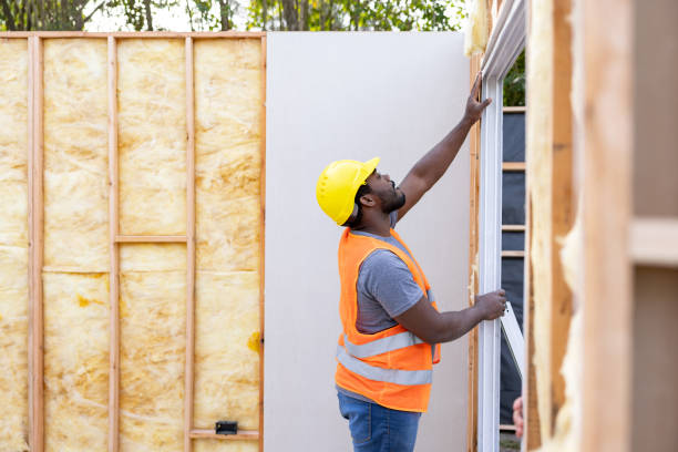 Best Insulation Replacement Services  in University, MS