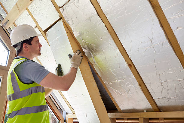 Insulation Repair Services in University, MS