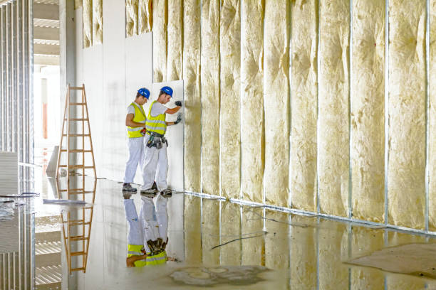 Best Spray Foam Insulation  in University, MS